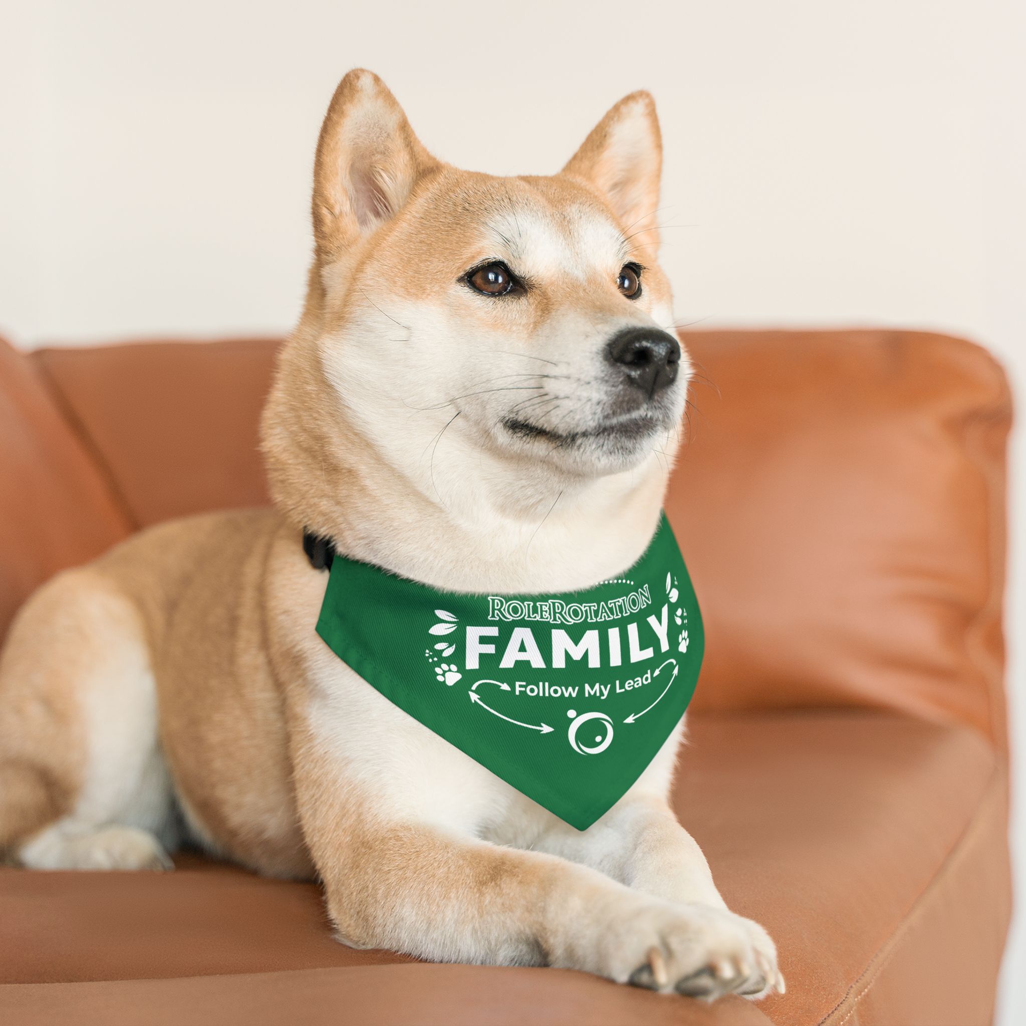 Pet Bandana — “Rolerotation Family - Take My Lead” Green Dog Collar Bandana